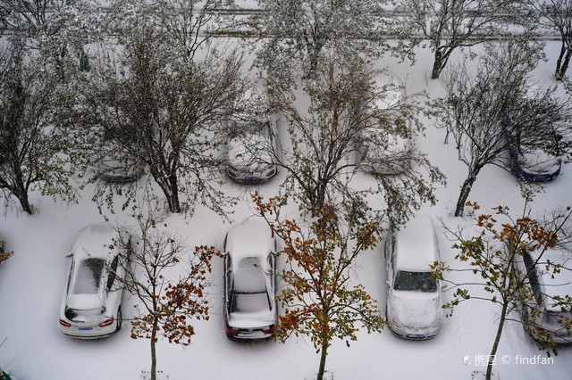 一场冬雪的景色 携程氢气球