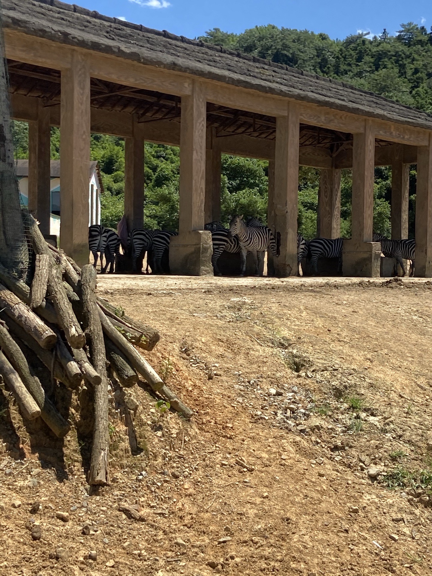 富阳区高坞休闲农庄攻略-高坞休闲农庄门票价格多少钱-团购票价预定