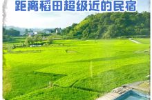 贵州周边｜出门是稻田的宝藏民宿-诸沃之野