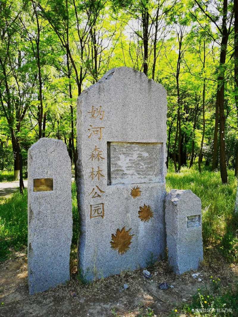 延庆亲子行之误打误撞的妫河森林公园骑行