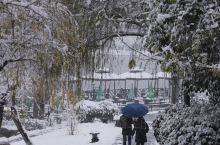 #念念不忘的2021 假装在北方，湖南株洲居然下了一天的大雪|||是真的下雪！是真的下雪！是真的下雪