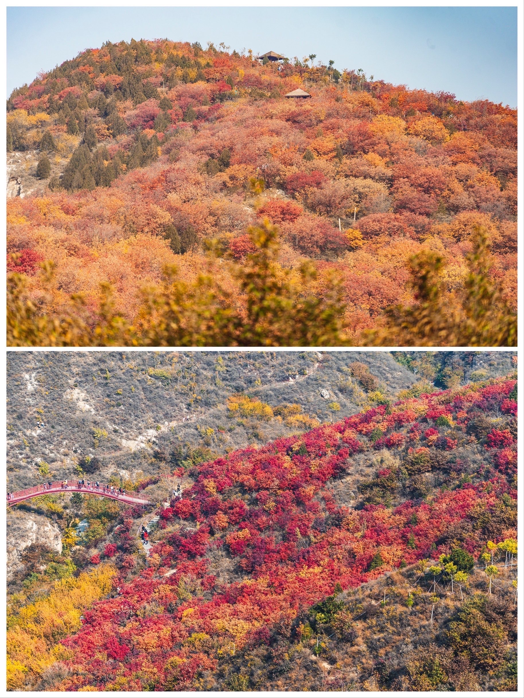 舞彩浅山滨水国家登山步道图片