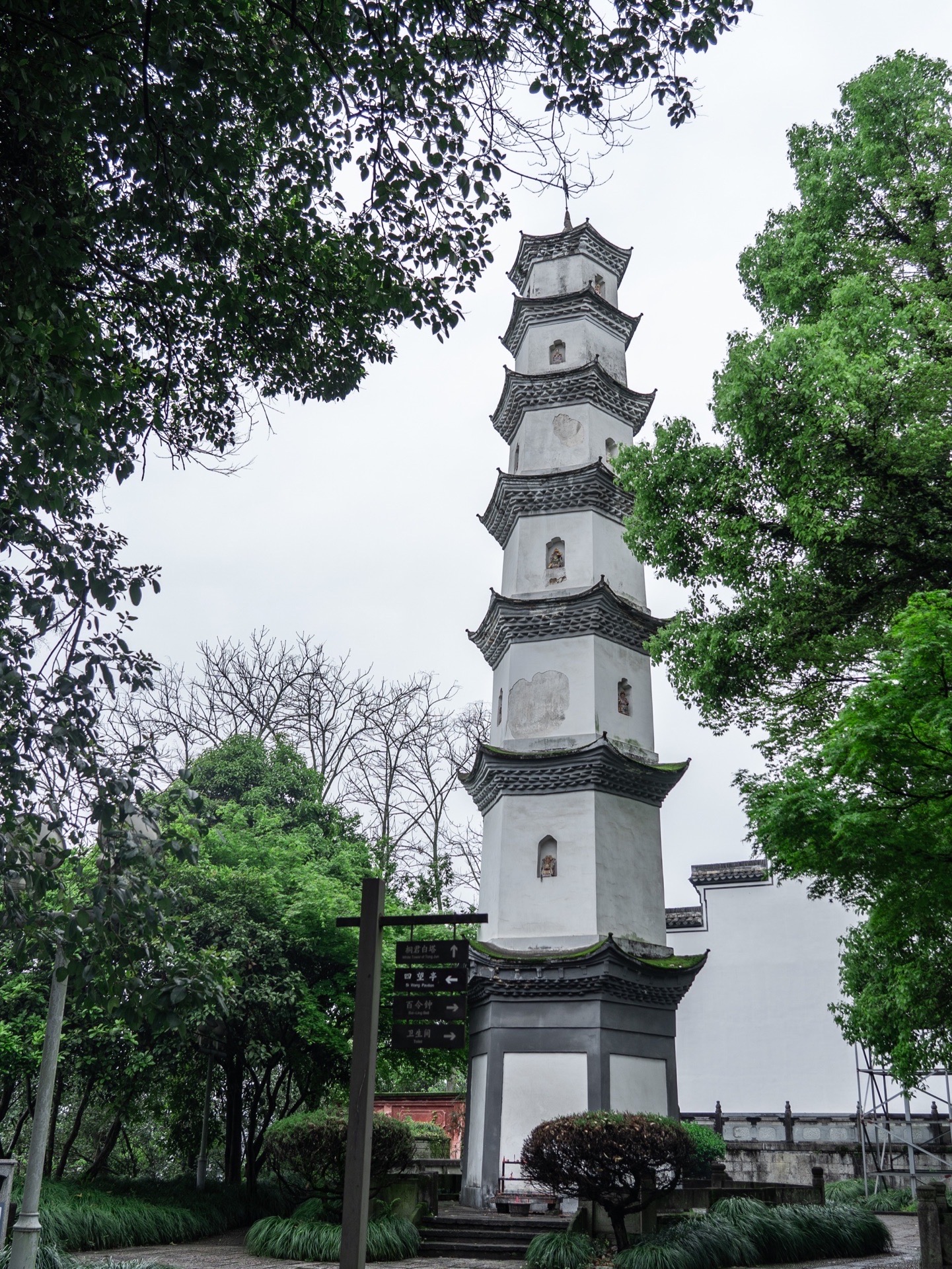 桐君山简介图片