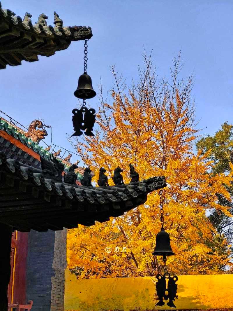 一入戒台寺宛如画中游戒台寺秋景攻略