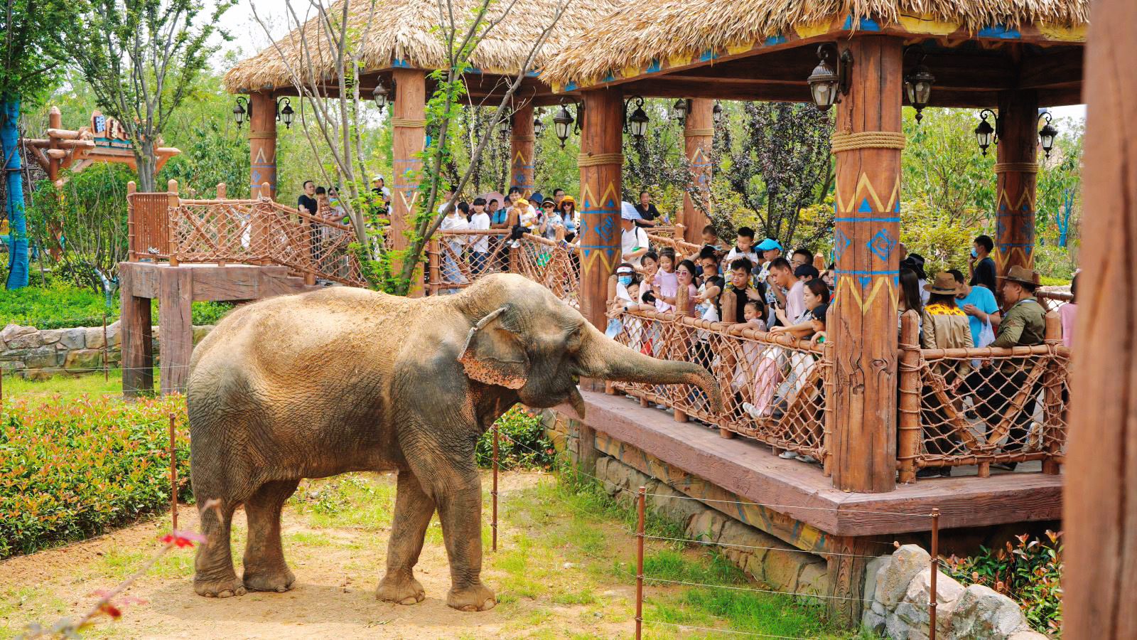 
3天2晚
出行地点:银基冰雪世界/动物王国/黄帝