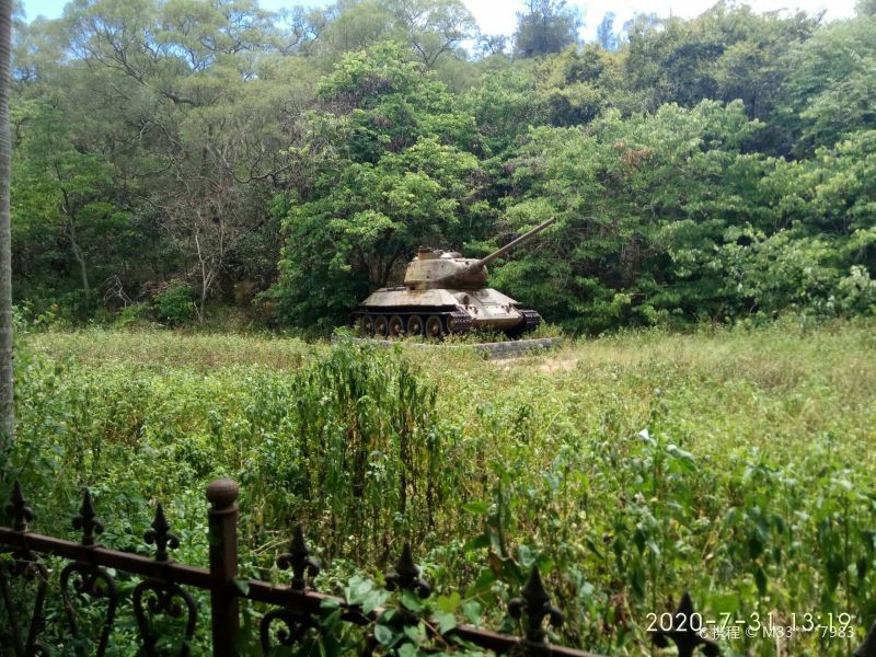 厦门植物园国防园图片