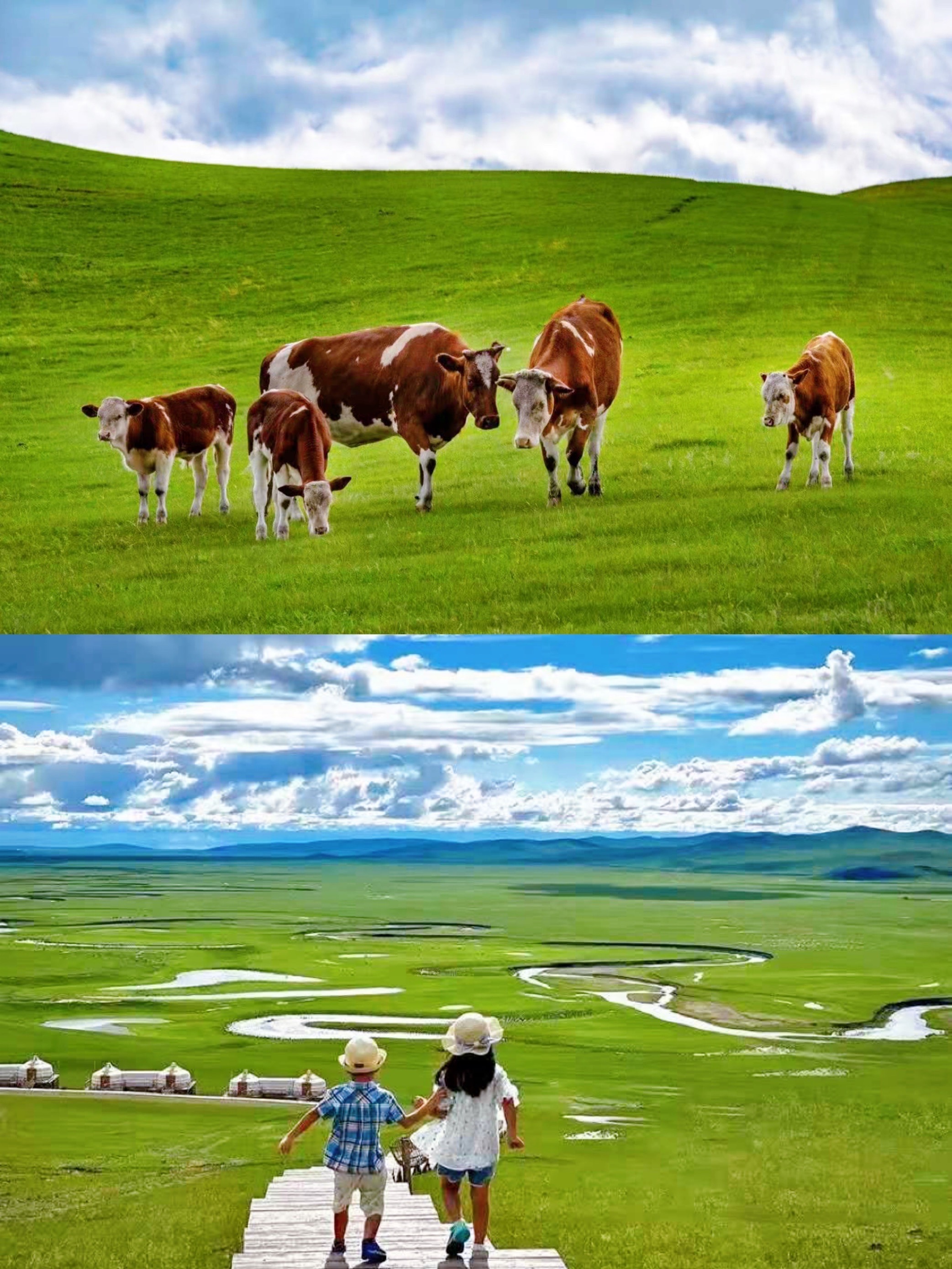 【攜程攻略】呼倫貝爾呼倫貝爾大草原景點,夏日旅行計劃怎麼可能少得