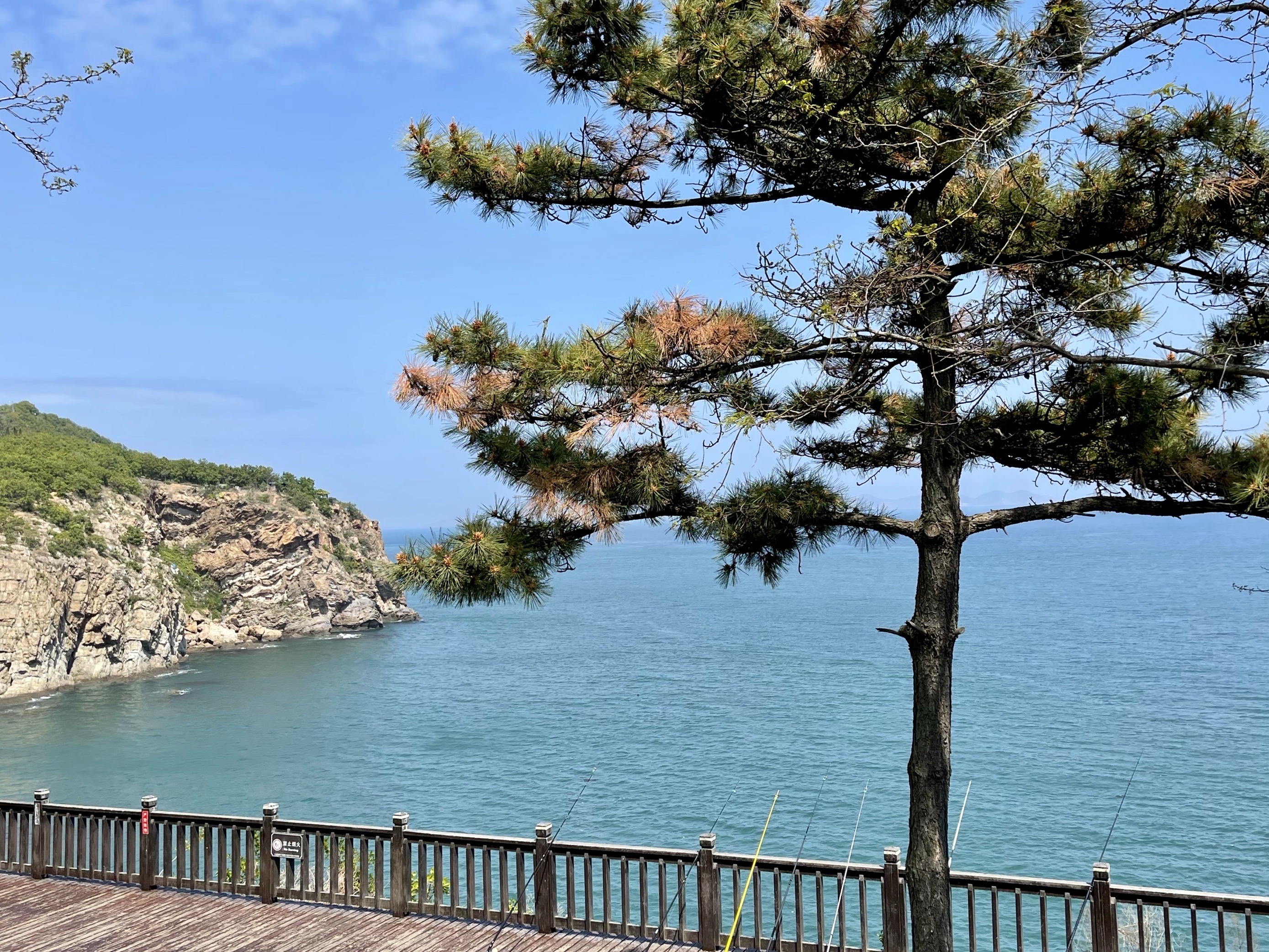 【携程攻略】大连棒棰岛景点, 棒棰岛景区,北部群山环绕,苍松翠柏;南