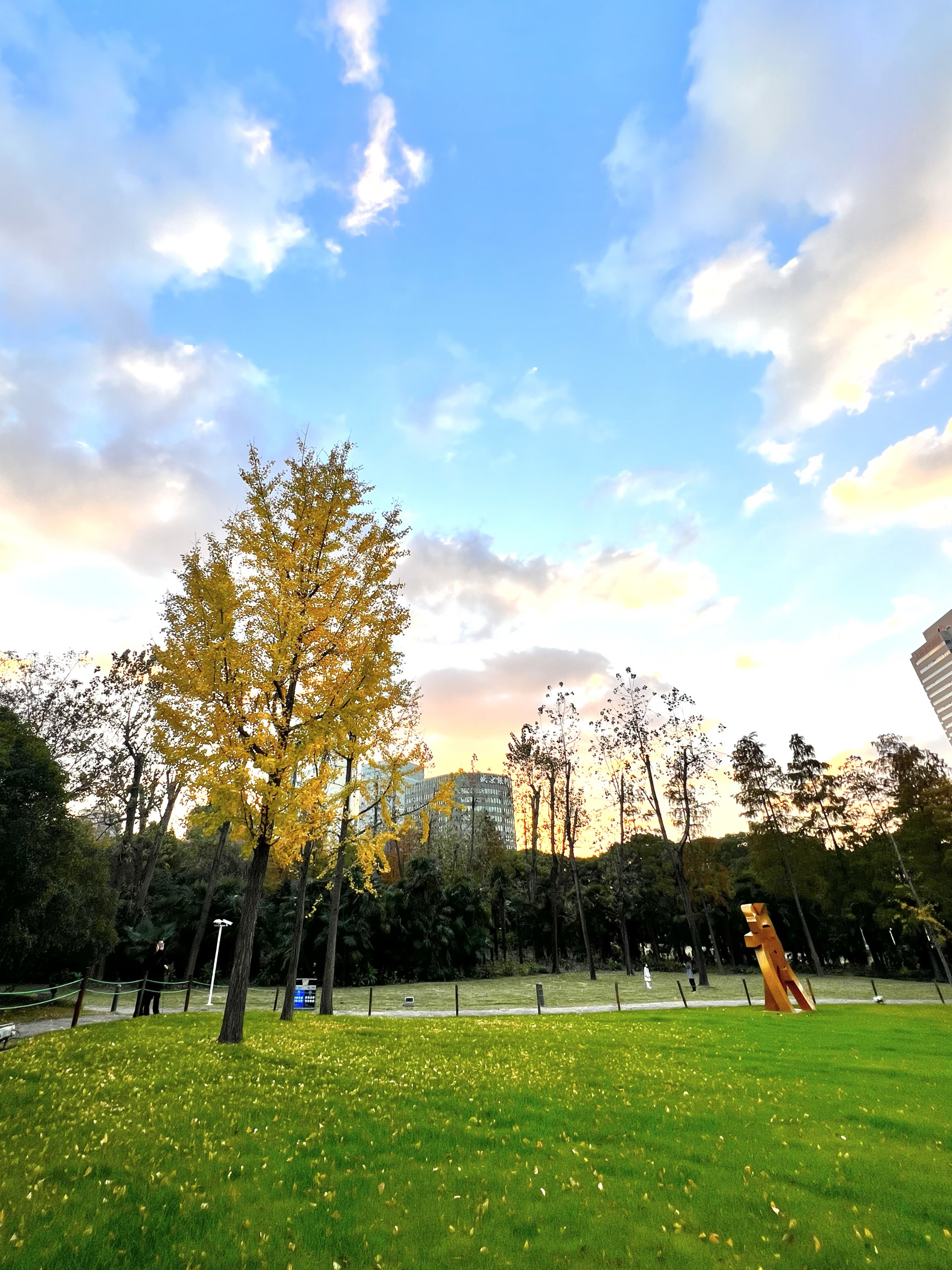 上海新虹桥中心花园游玩攻略-新虹桥中心花园门票多少钱/价格表-团购