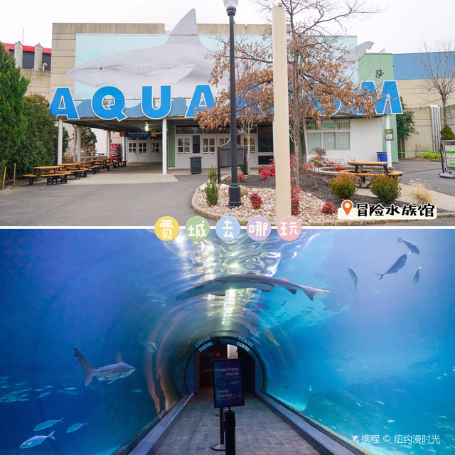 费城去哪玩i 冒险水族馆去感受海底世界 携程氢气球