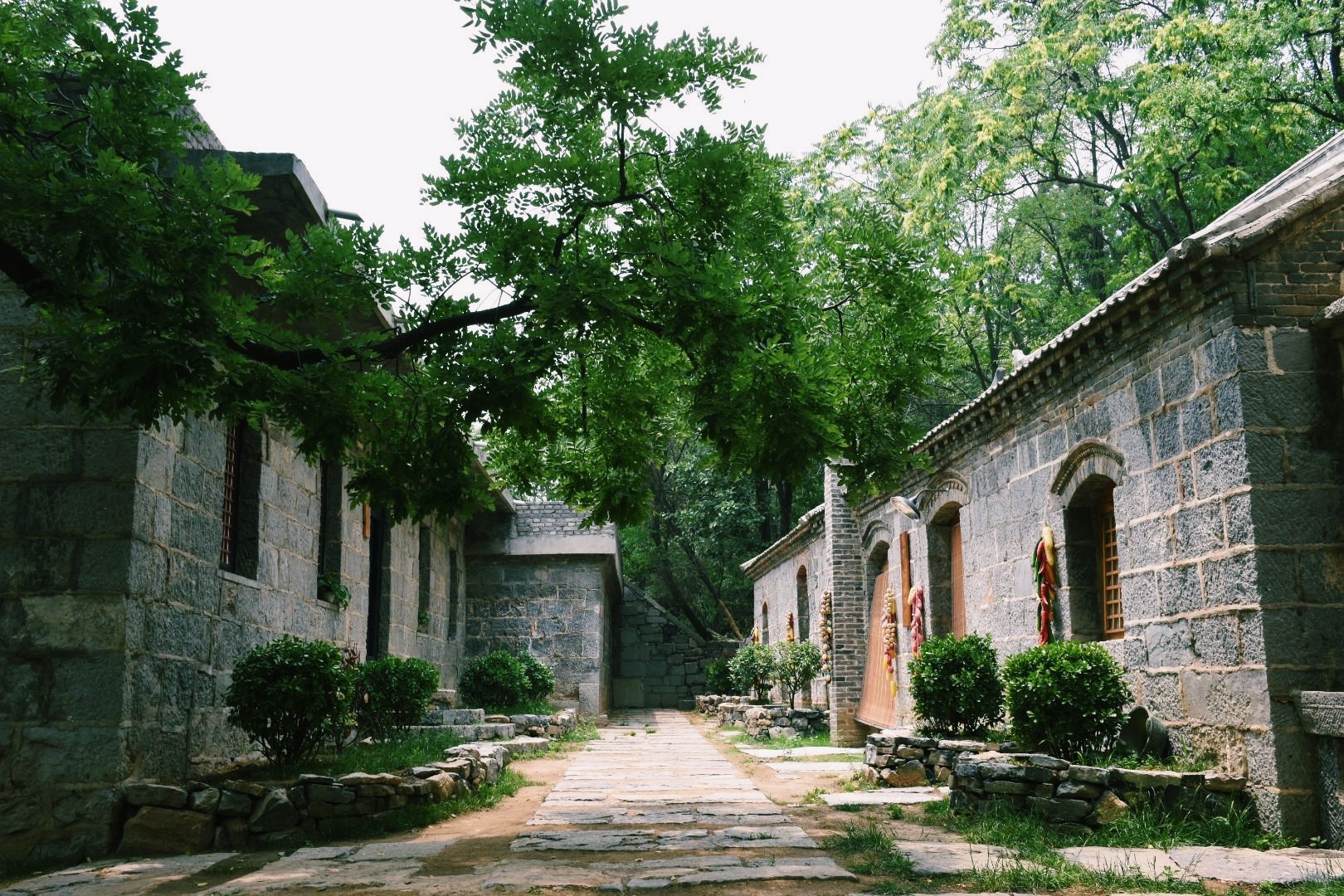 青天河知青村,位于河南焦作青天河风景区的靳家岭游览区里.