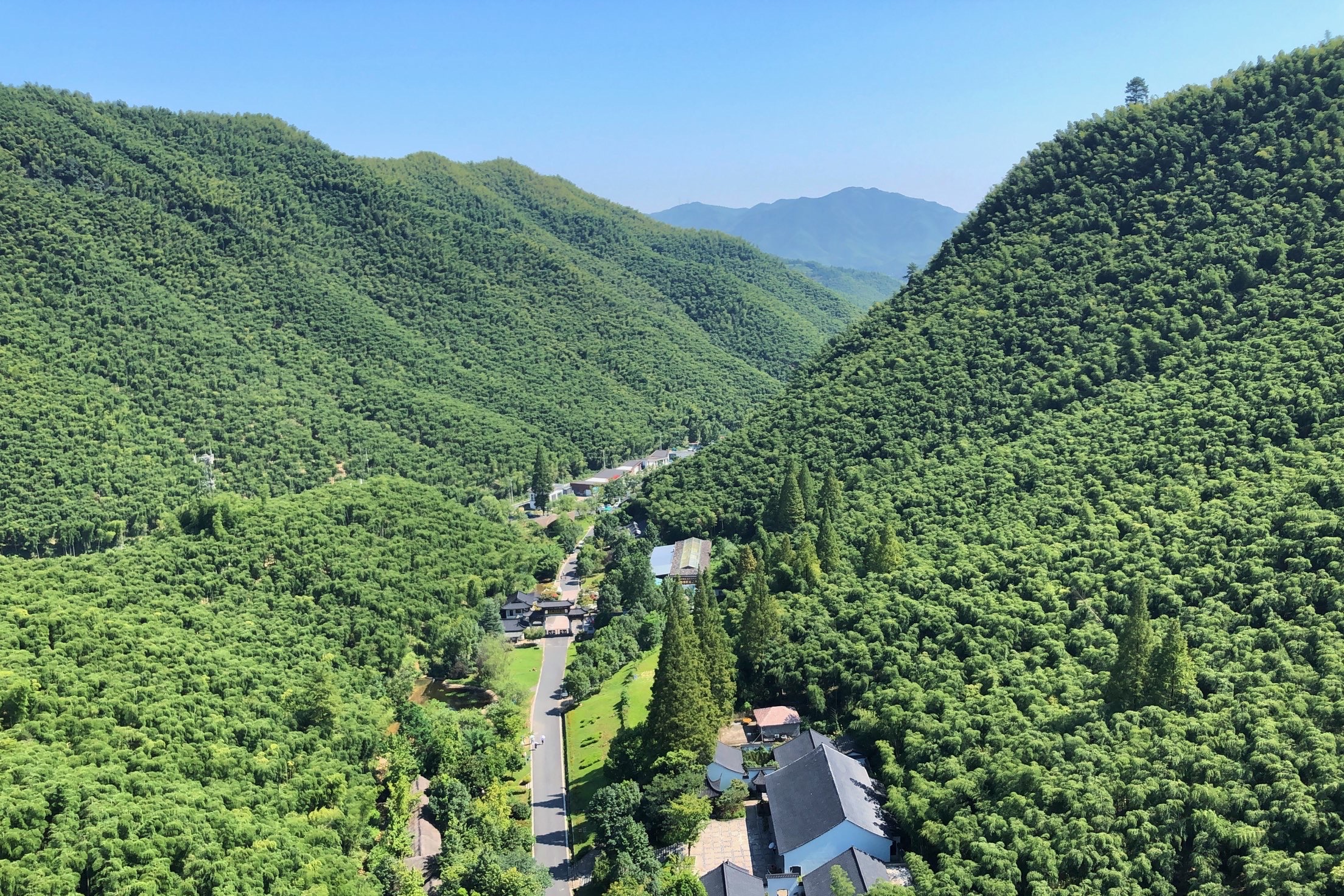 安吉大竹海风景区图片