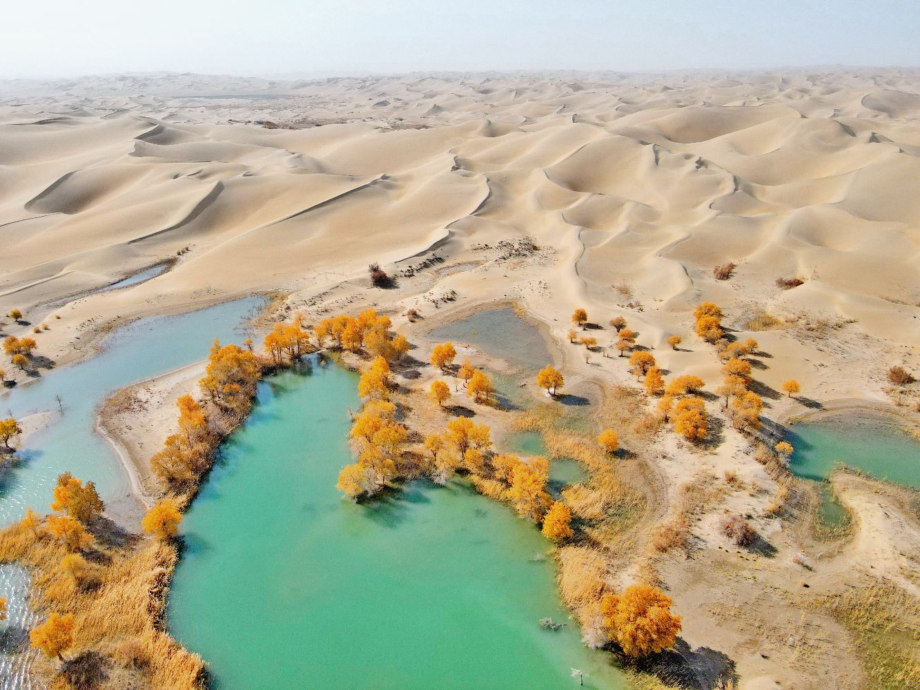 若羌营盘古城攻略,若羌营盘古城门票/游玩攻略/地址/图片/门票价格