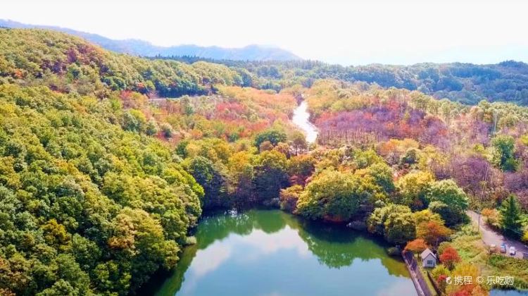 宫城县长老湖攻略 长老湖门票价格多少钱 团购票价预定优惠 景点地址图片 携程攻略