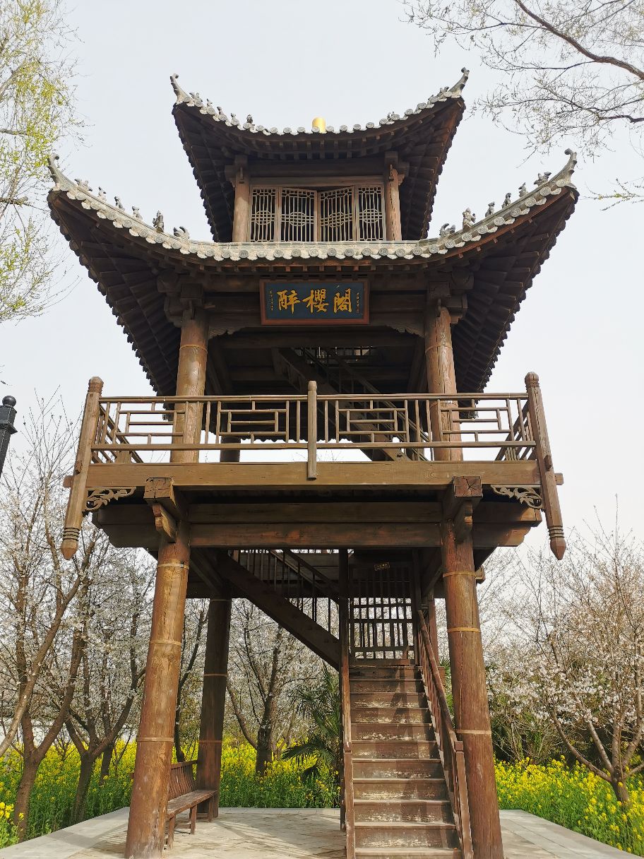 鄢陵唐韵樱花园攻略-唐韵樱花园门票价格多少钱-团购票价预定优惠