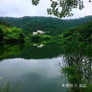 南京石塘竹海攻略-石塘竹海門票價格多少錢-團購票價預定優惠-景點