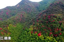 秋天是莫干山中最美季节