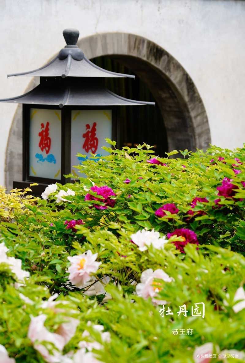 拒绝人多恭王府赏花时间表半日游