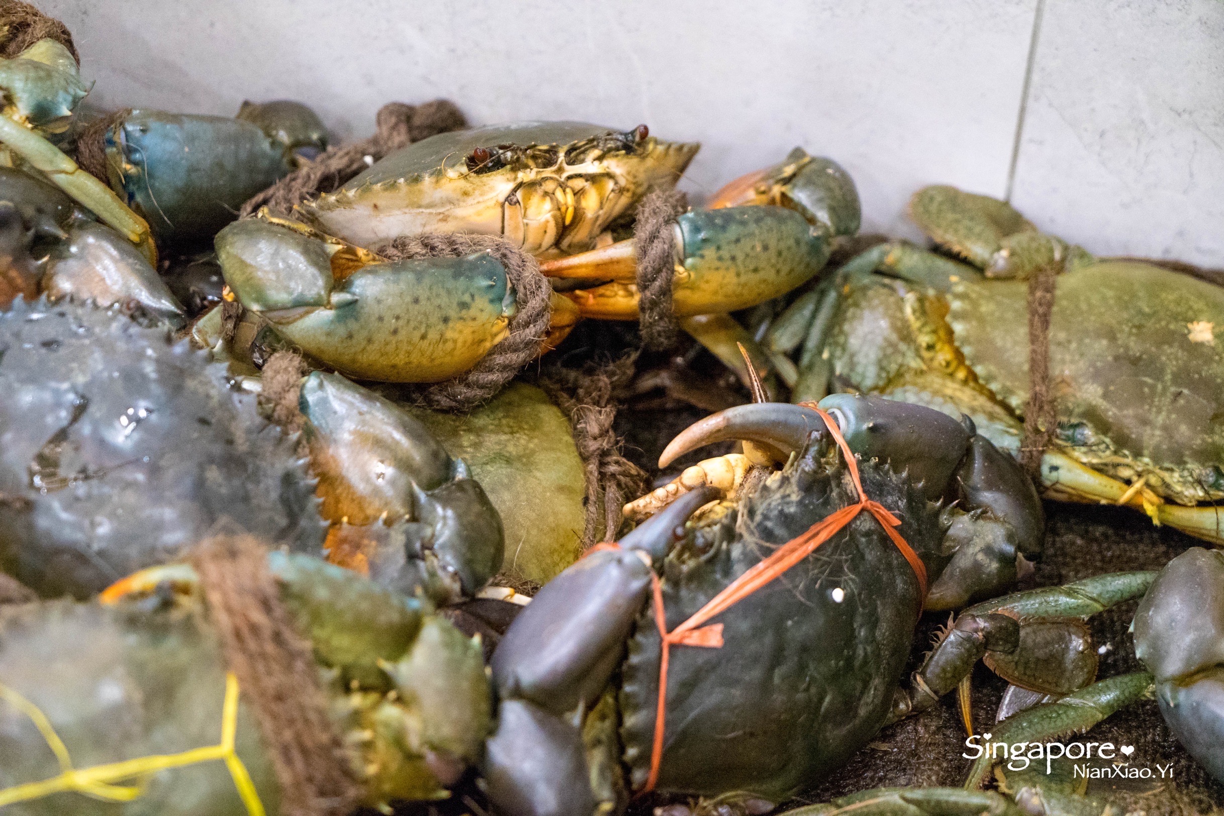 龙海鲜螃蟹王(丹戎巴葛店)