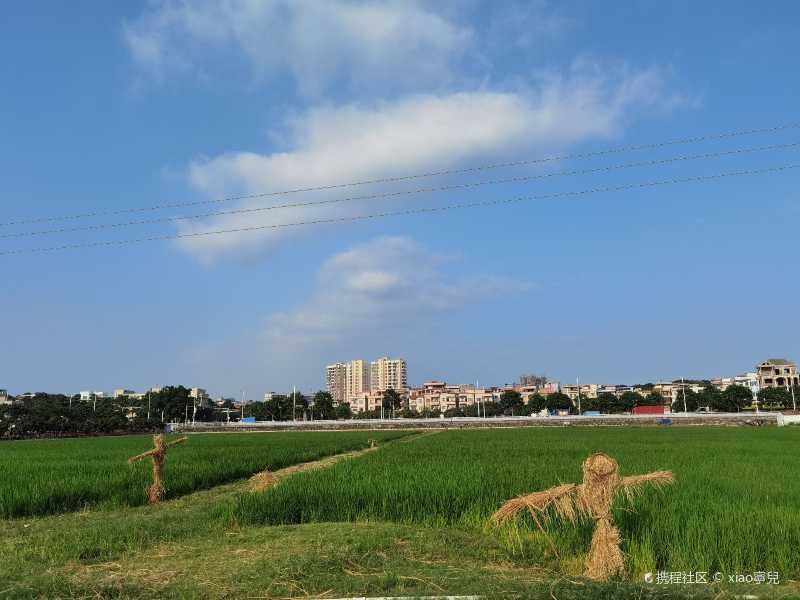 chloe北國白雪皚皚,南國已經春暖花開-上元稻田公園自由行筆記-旅遊景