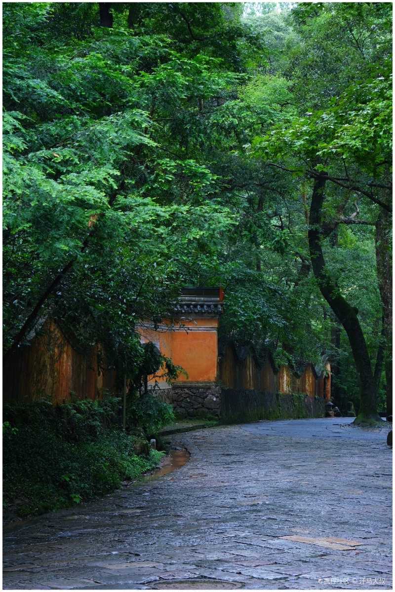 雨中探幽千年古剎天台山國清寺