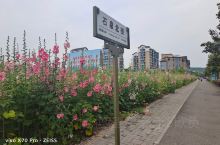 新建的北川县是个休闲放松的好地方，人不会太多，公路不会堵车，空气充满着花香，一切都是那么宁静祥和。#