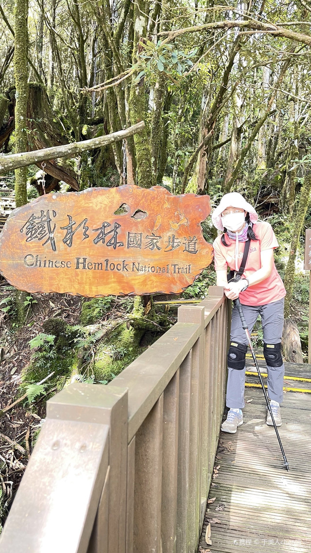 檜木原始 鐵杉林自然步道 太平山国家公园 携程氢气球