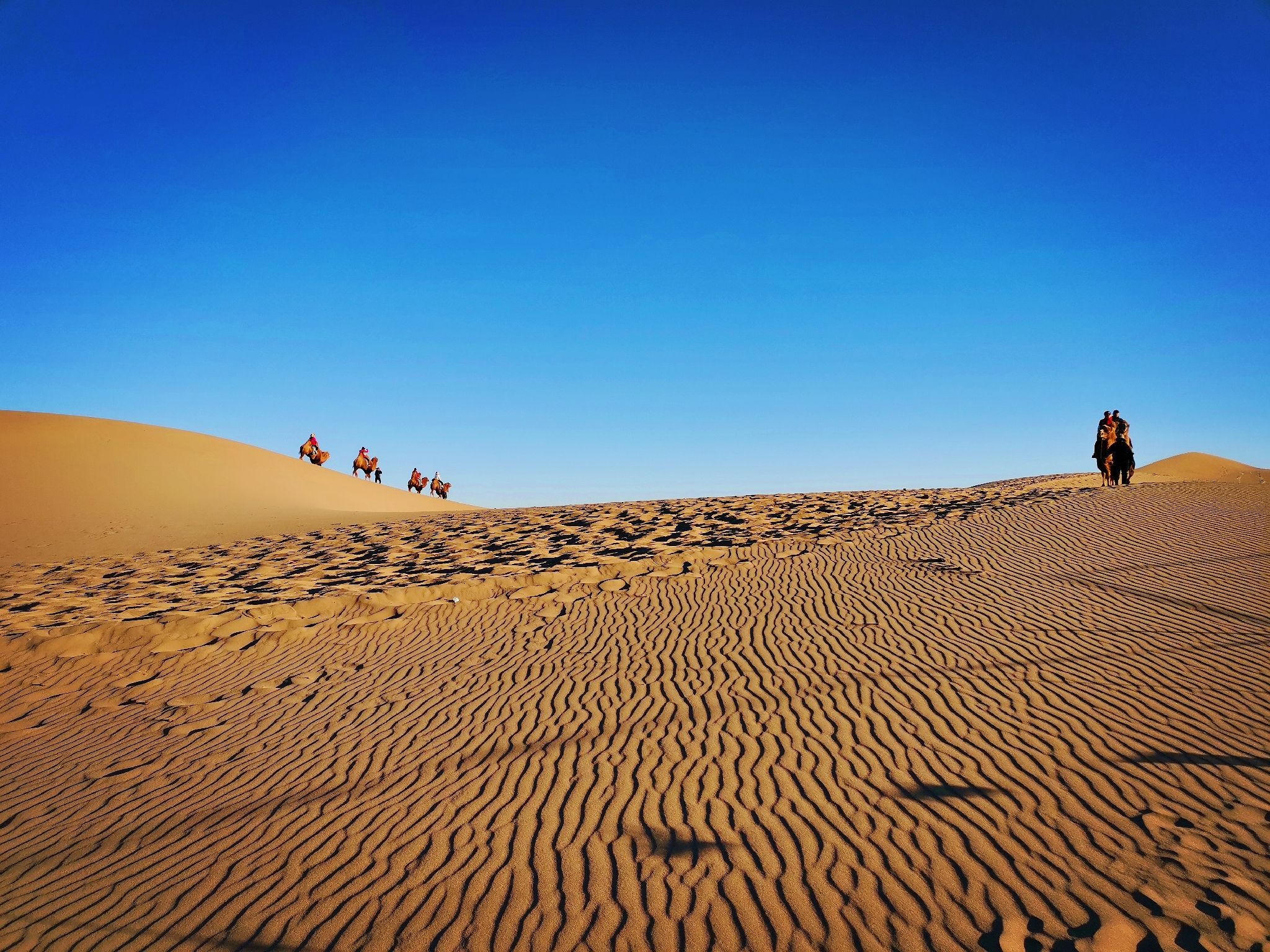 额济纳旗八道桥好玩吗,额济纳旗八道桥景点怎么样_点评_评价【携程
