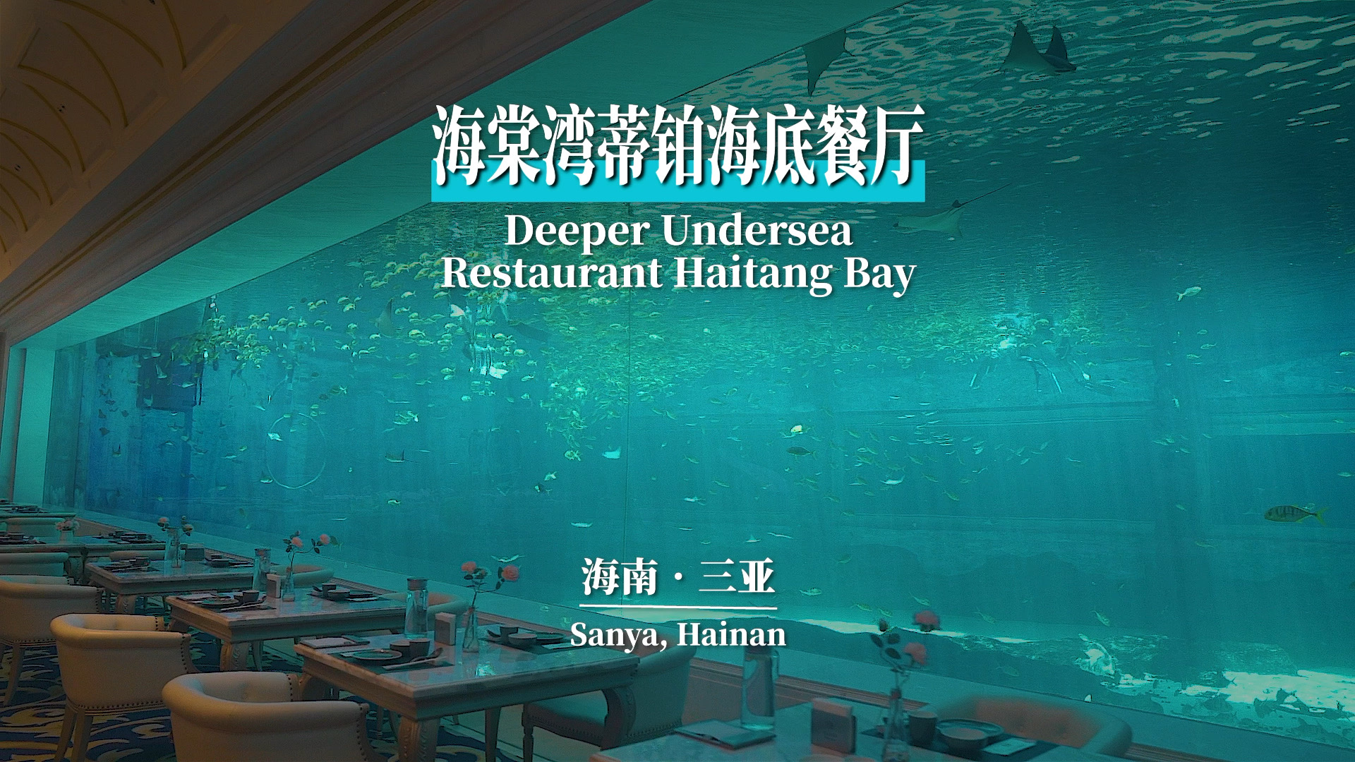 三亚最大方的海洋餐厅，海鲜无限供应，而且还是无敌海景_大海