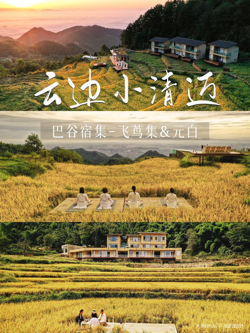 等来了梨花开满中卫,海拔850米的明月山间油菜花梯田 四月,垫江的巴谷