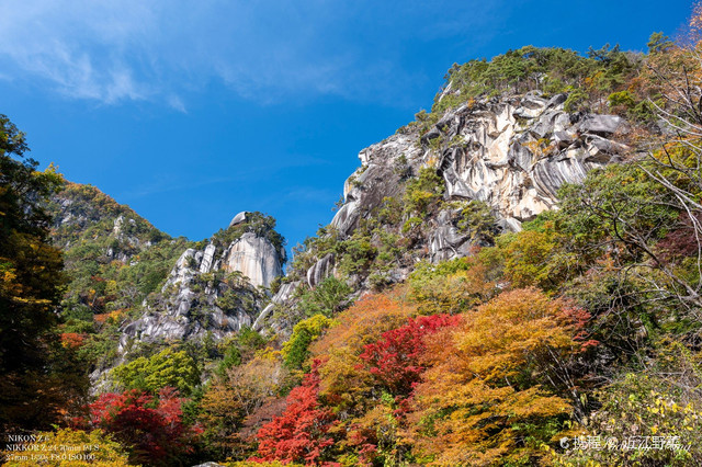 赏红叶胜地 升仙峡 携程氢气球