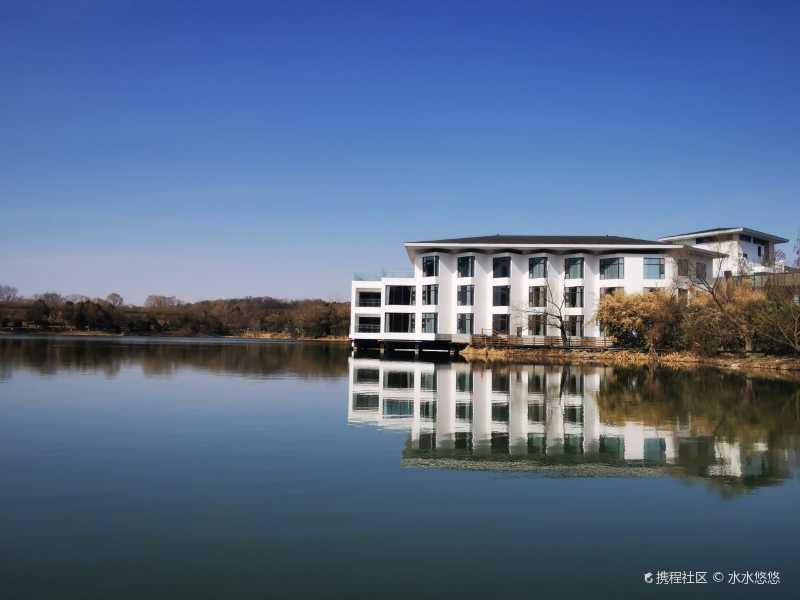 国宾馆的中餐厅 出品器宇不凡口味亦不凡90位于 南京紫金山庄