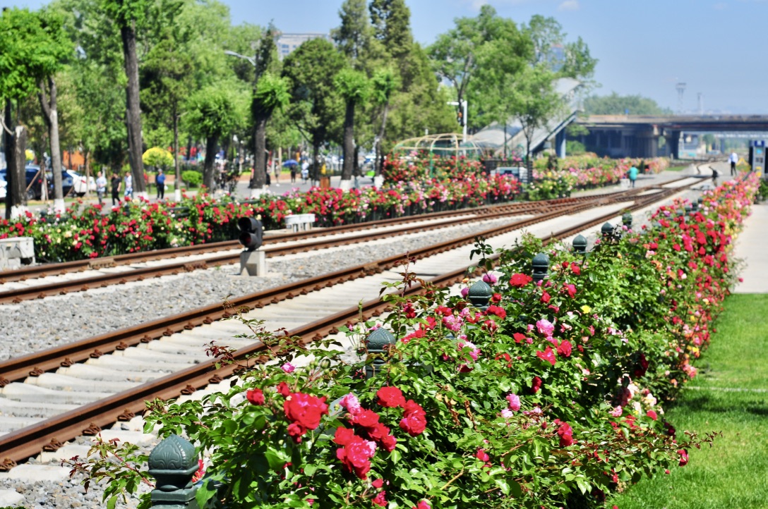 1,景区介绍:秦皇岛西港花园又名开埠地,是秦皇岛市国
