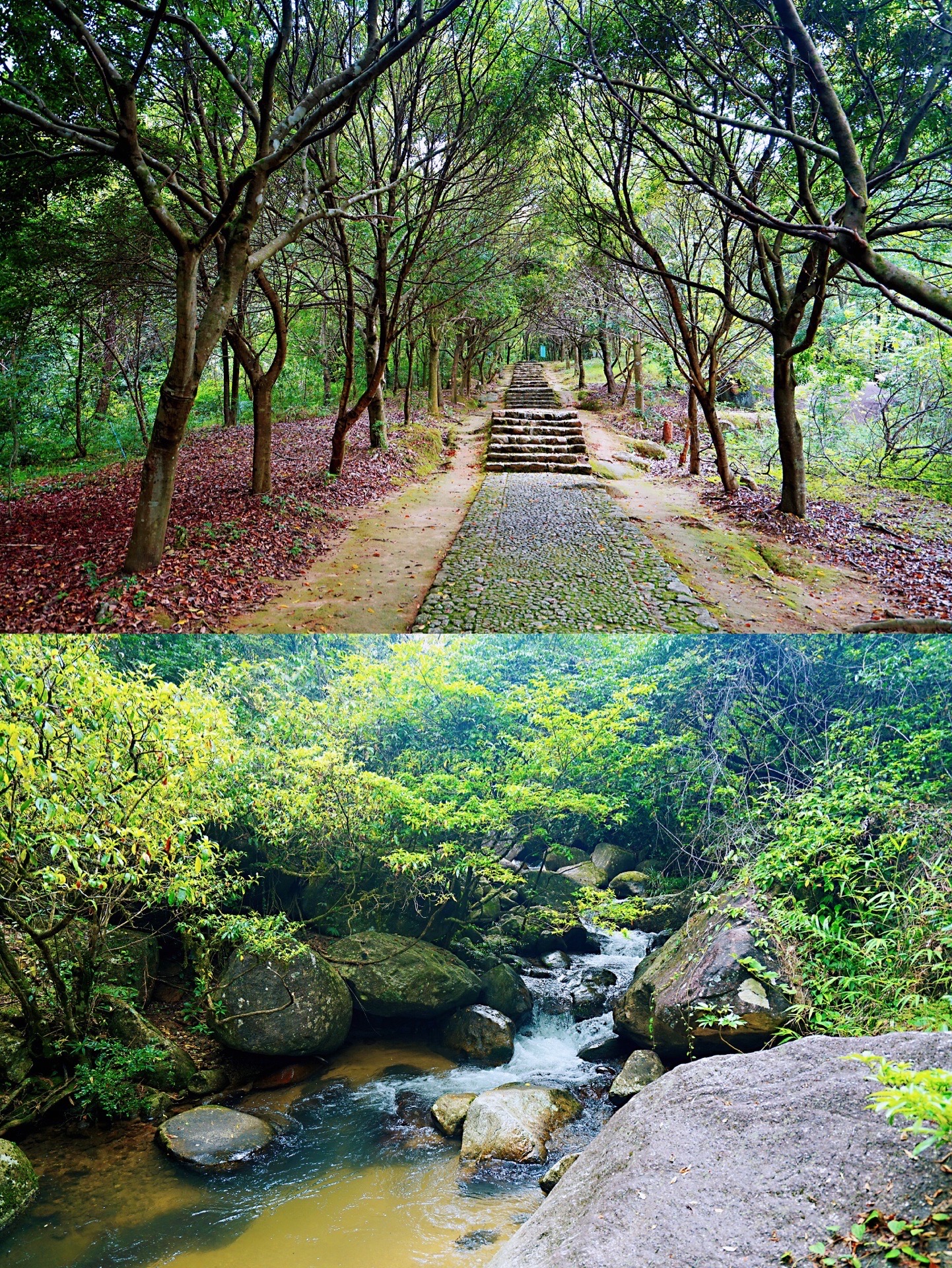 云髻山自然保护区图片