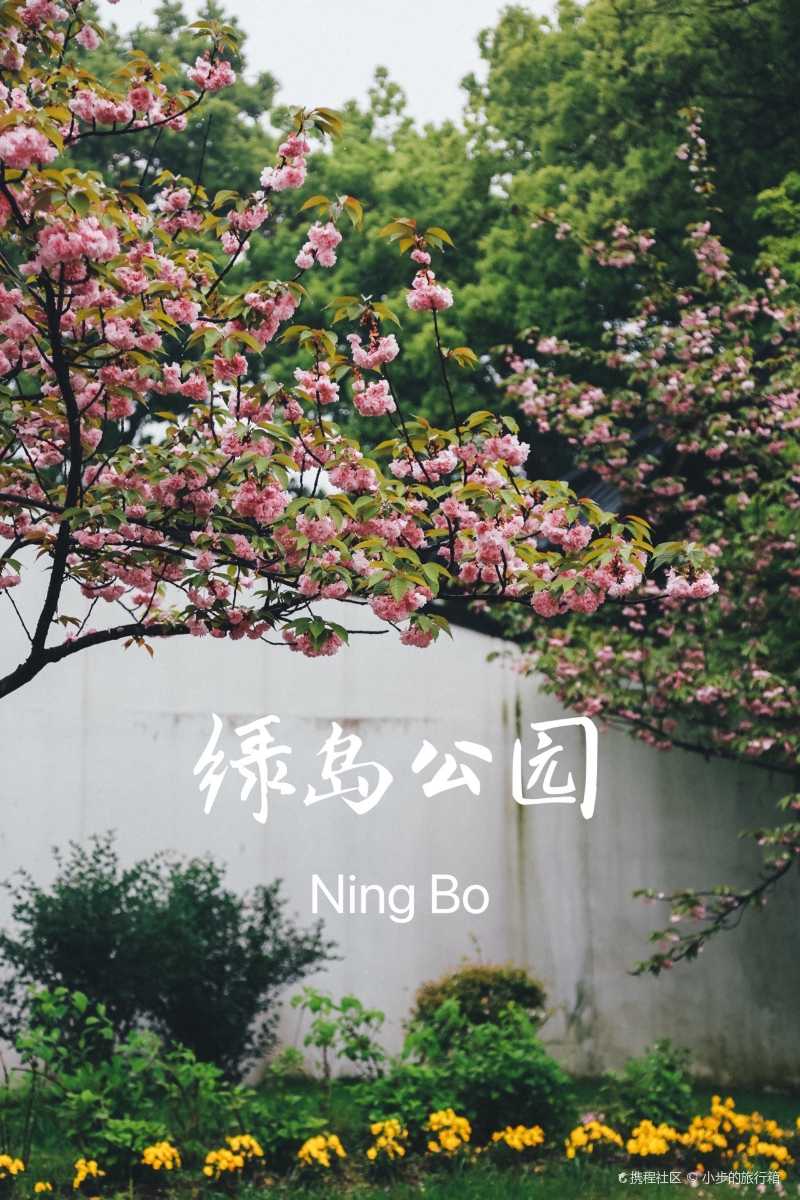 宁波小众景点绿岛公园