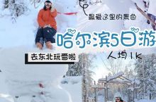 哈尔滨雪乡冬季旅游包车攻略