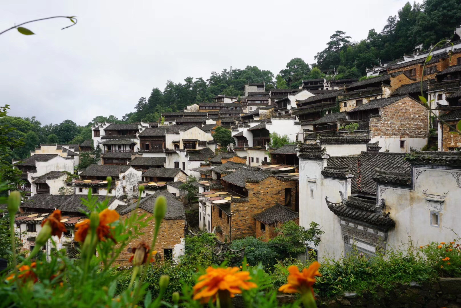 婺源江岭景区好玩吗,婺源江岭景区景点怎么样_点评_评价【携程攻略】