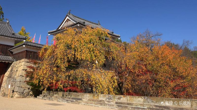 上田城迹公园的红叶秋景 携程氢气球