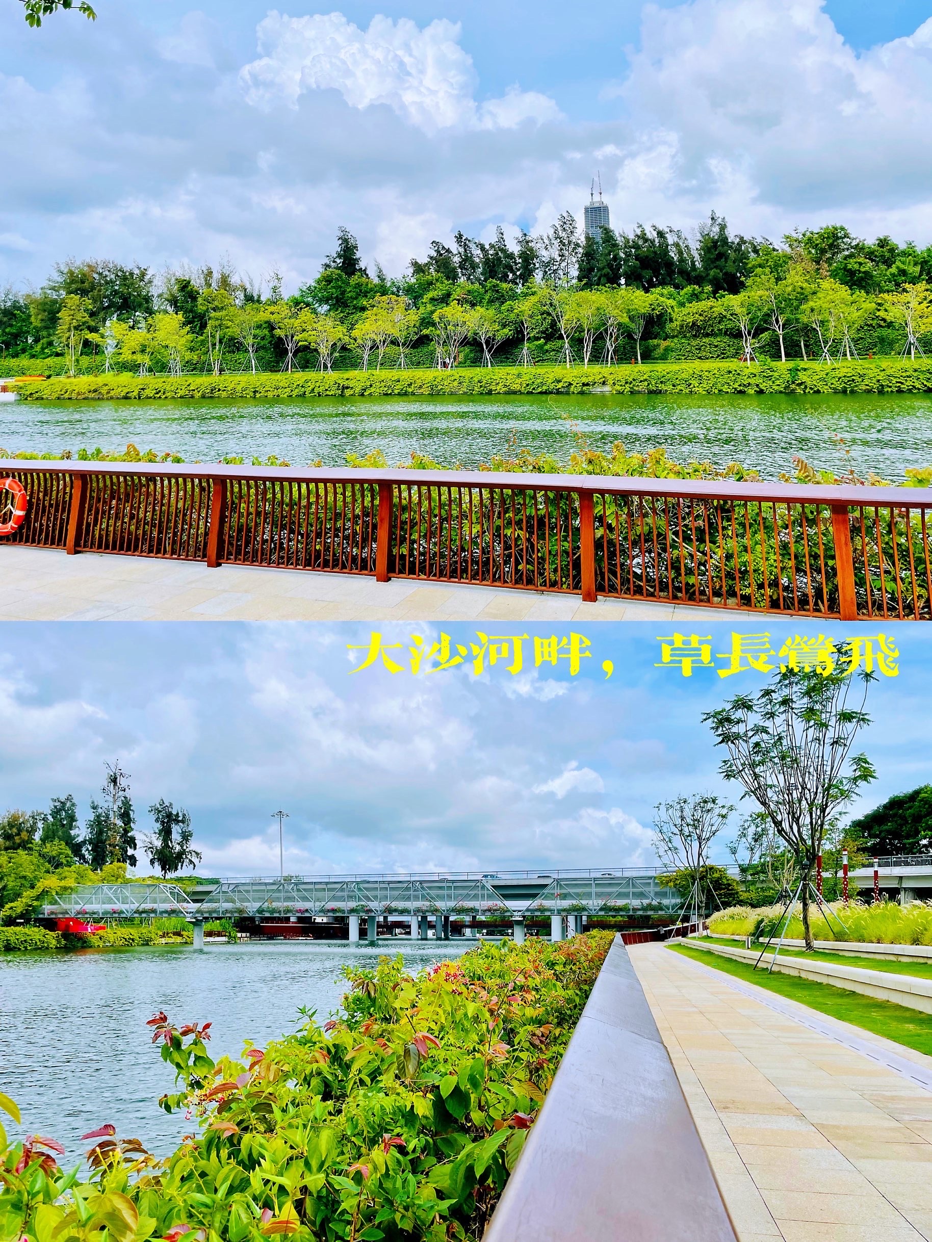 【携程攻略】深圳大沙河公园景点,详细地址: 大沙河生态长廊 [double