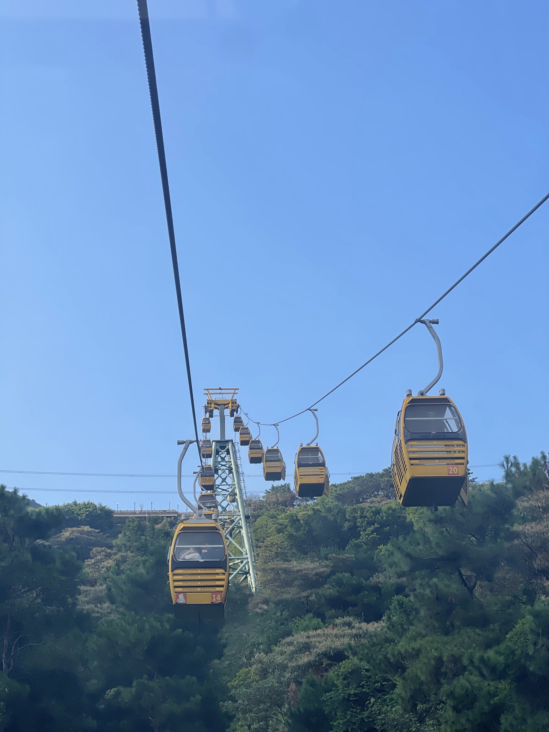  缆车又小又闷 大夏天的焗桑拿一样~下缆车后滑车下来 