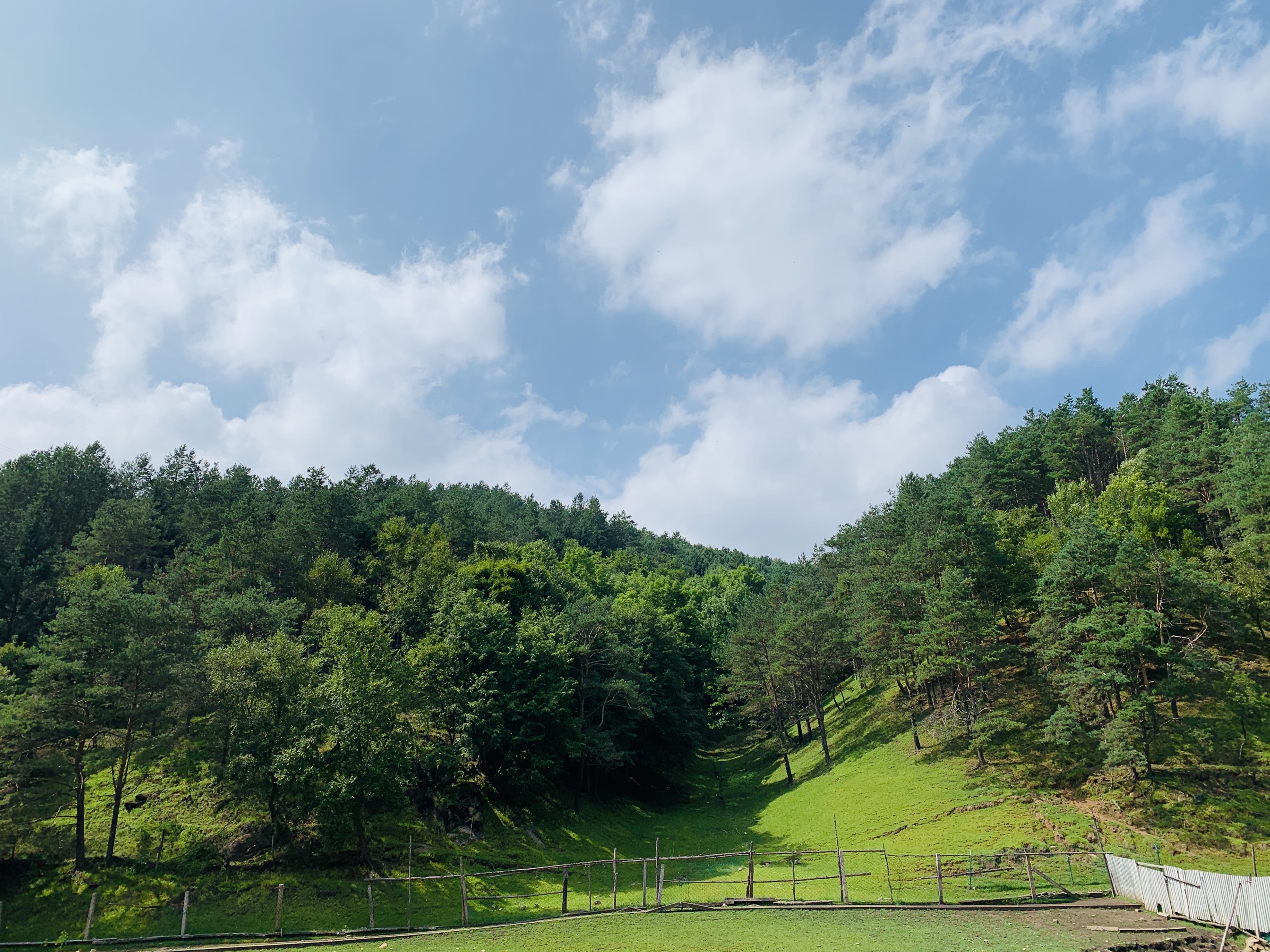 金山鹿苑