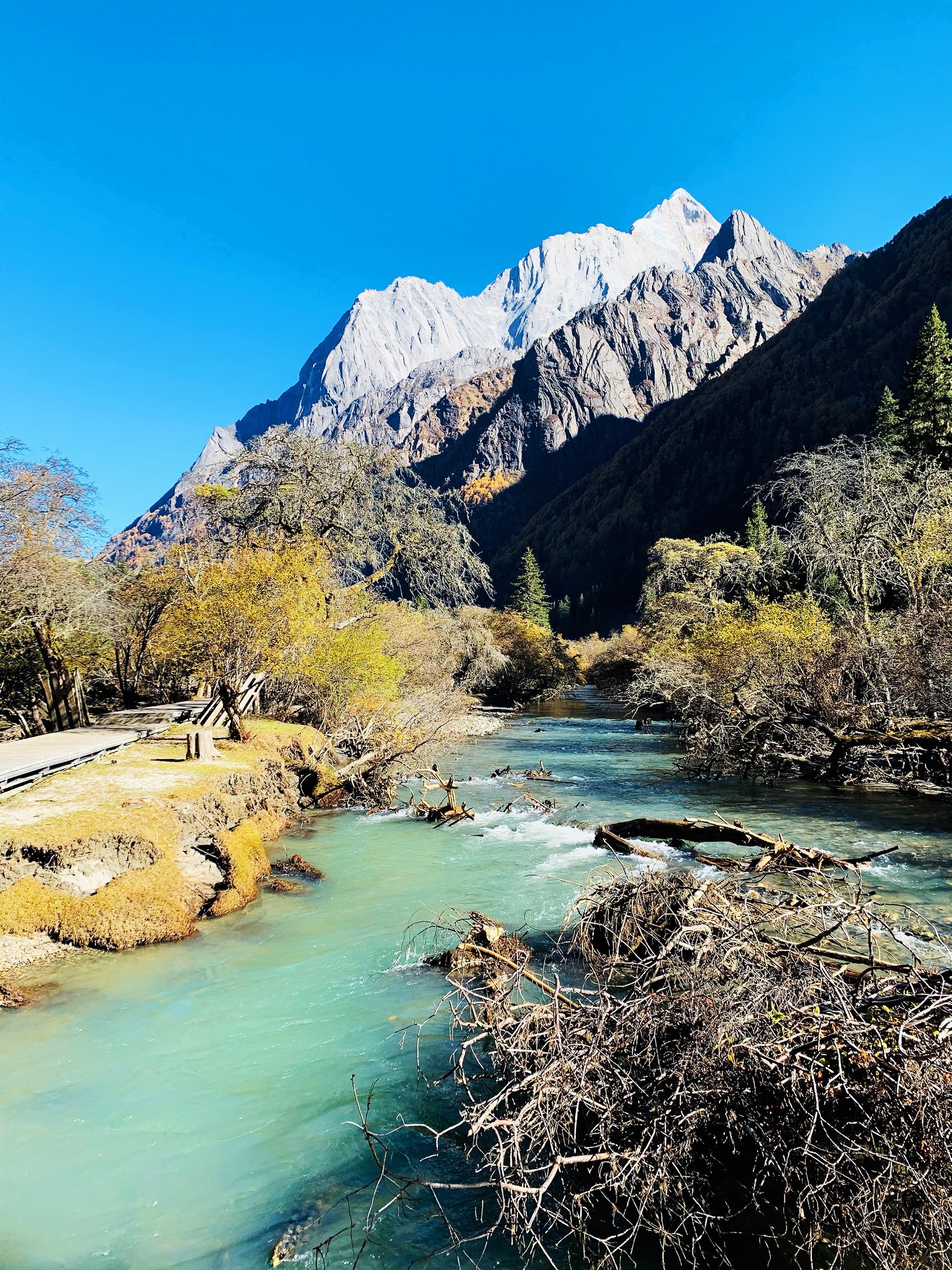 四姑娘山长坪沟好玩吗,四姑娘山长坪沟景点怎么样_点评_评价【携程