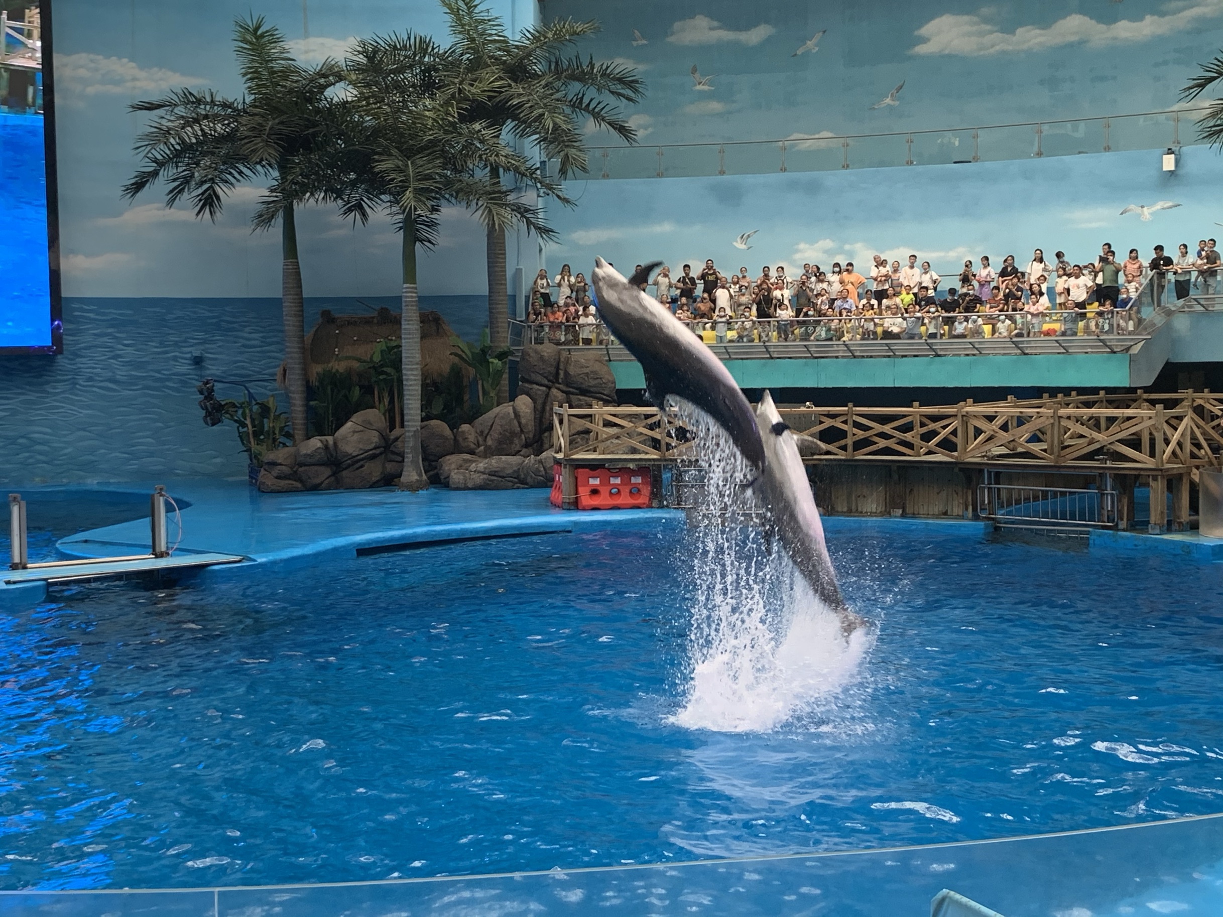 成都海昌极地海洋公园