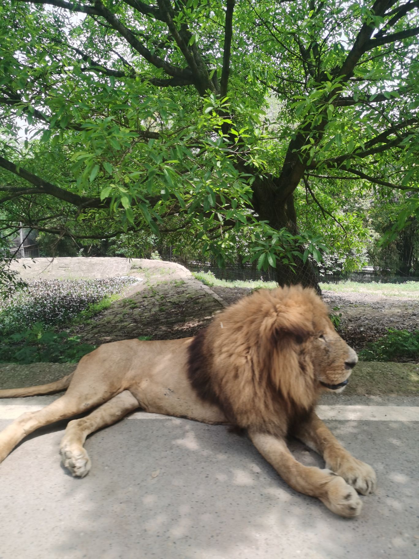 樂和樂都主題公園位於重慶永川區,分為野生動物園和主題樂園.