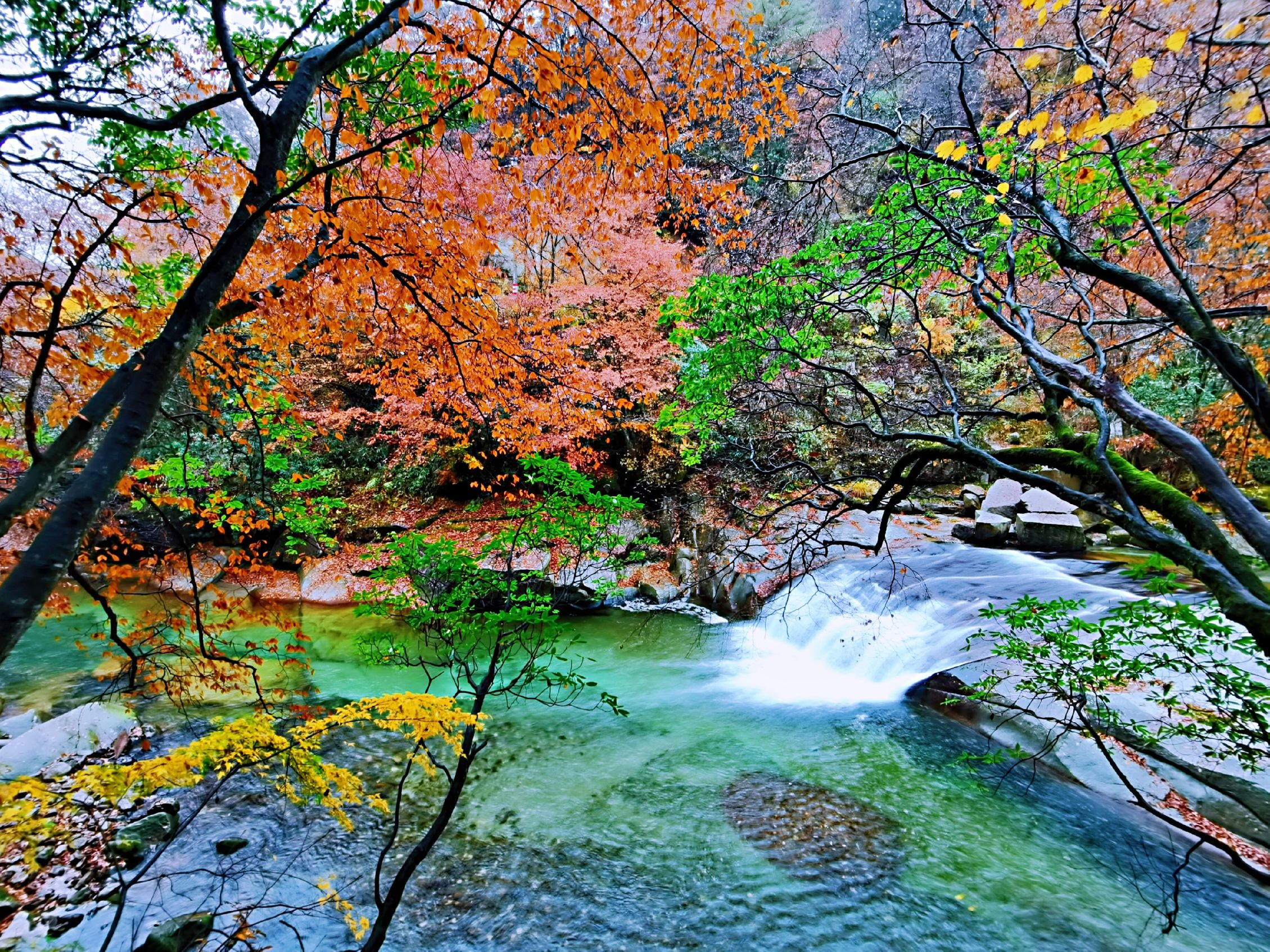 米仓山国家森林公园