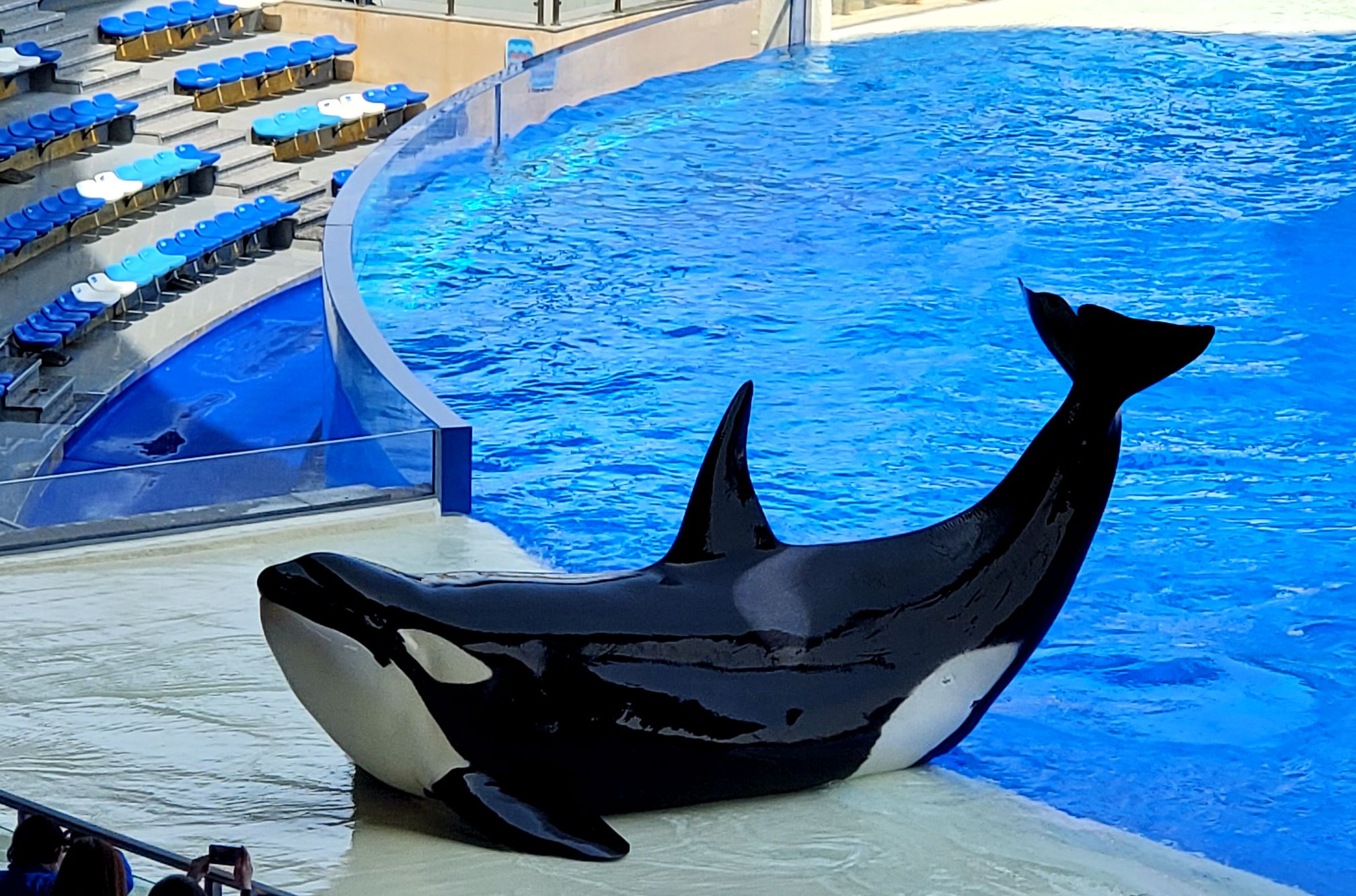 上海长风海洋世界