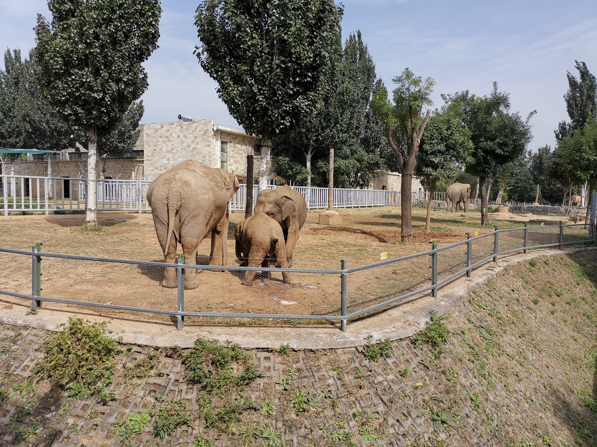 石家庄动物园 携程网