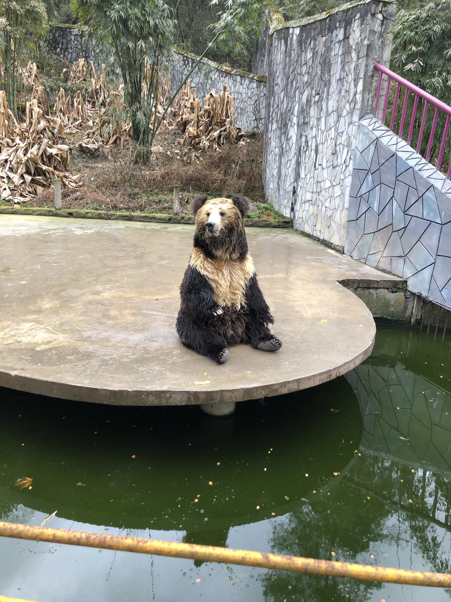【携程攻略】贵阳贵州森林野生动物园适合朋友出游旅游吗,贵州森林