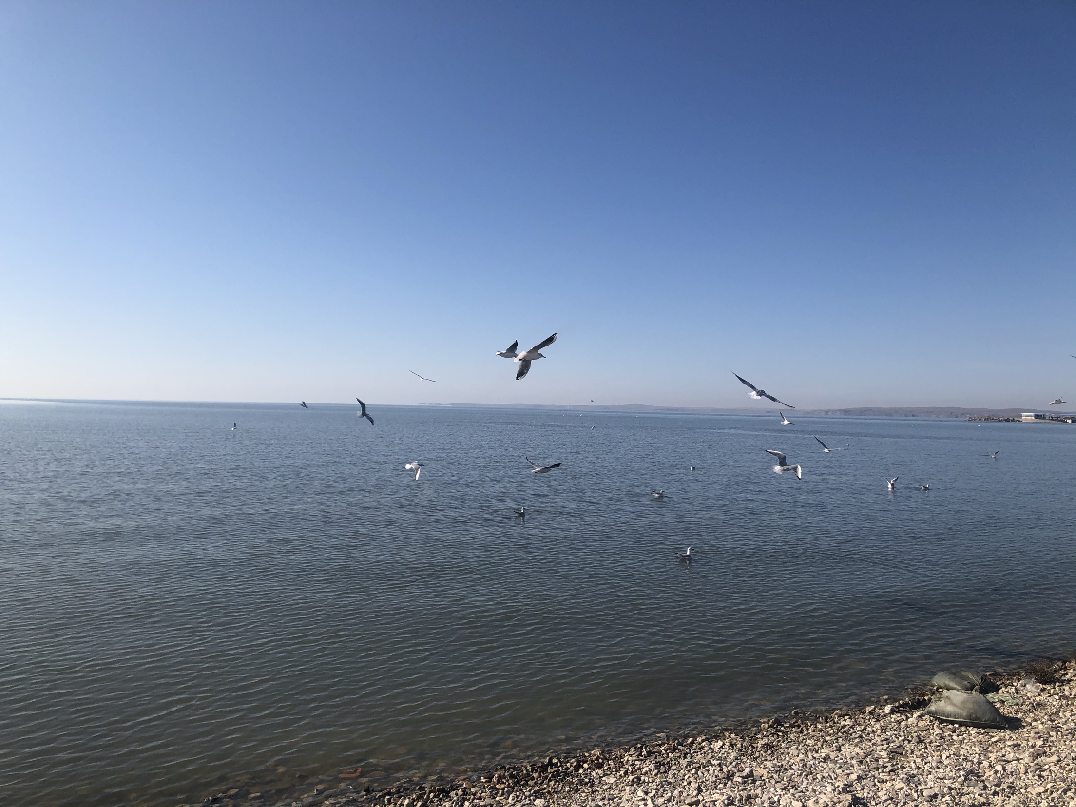 满洲里呼伦湖好玩吗,满洲里呼伦湖景点怎么样_点评_评价【携程攻略】