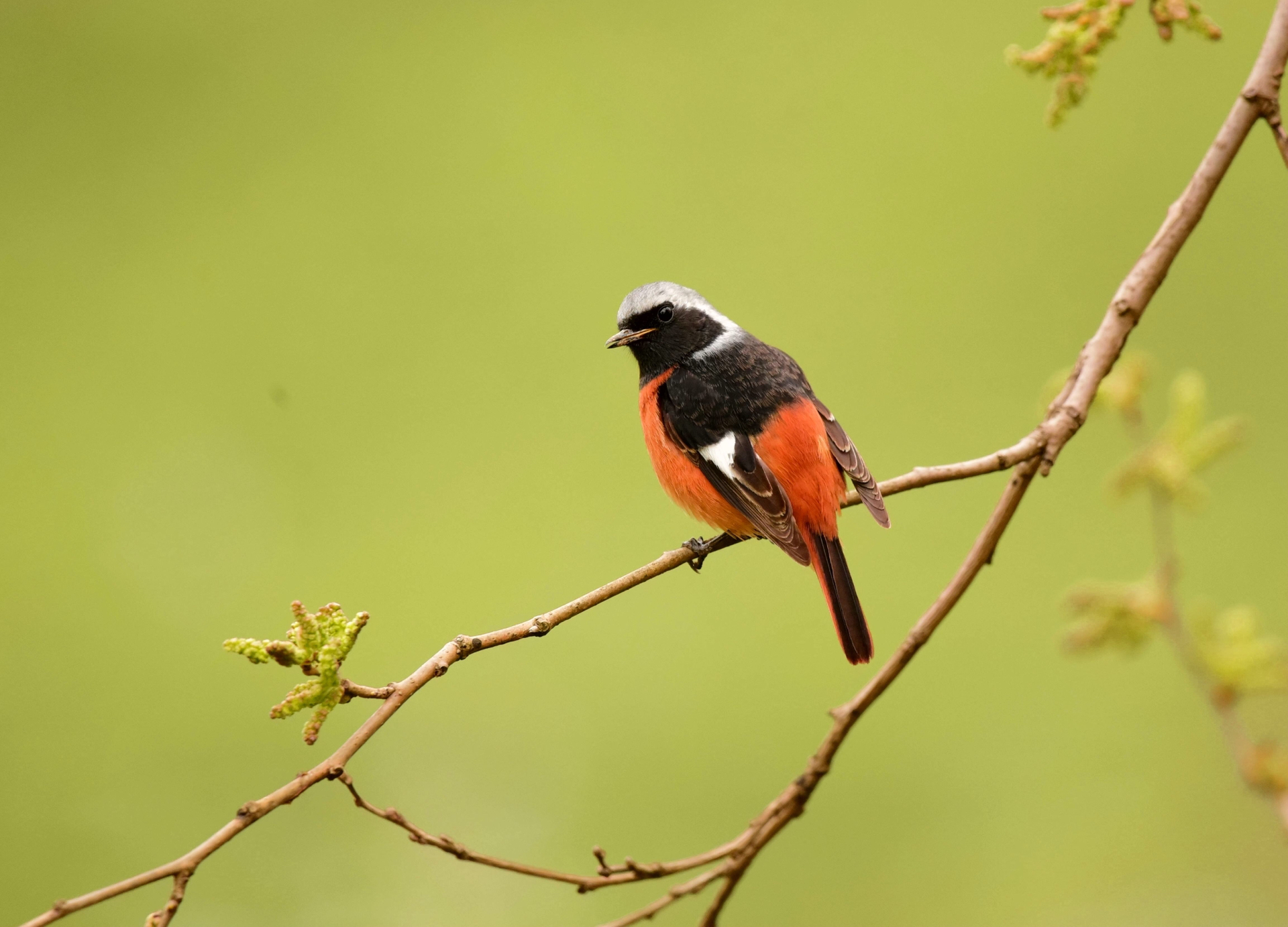 西溪国家湿地公园